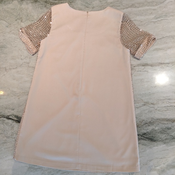Sequin Rose Gold Dress - Picture 3 of 8